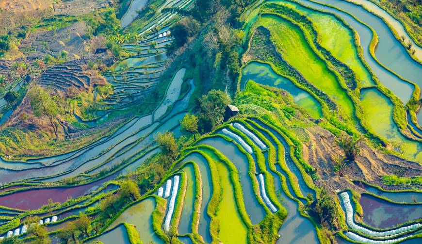 走进东阿县TVC拍摄：解锁本地化场景与创意镜头的完美融合